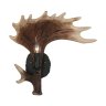 Бра Omnilux Sinio OML-52201-01