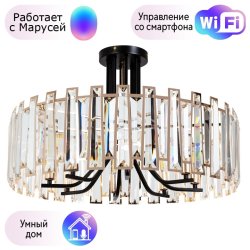 Потолочный светильник Arte Lamp Amber с поддержкой Маруся A1028PL-8BK-М