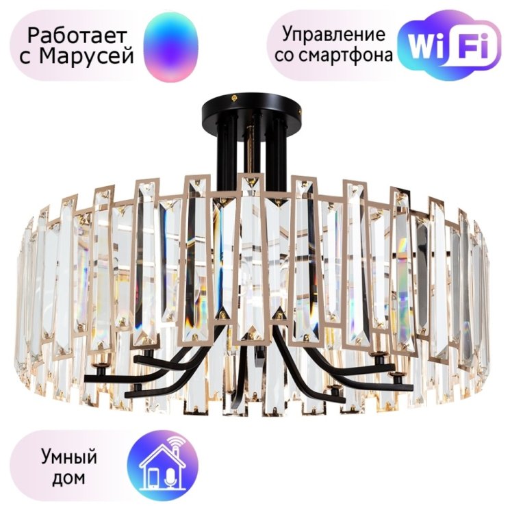 Потолочный светильник Arte Lamp Amber с поддержкой Маруся A1028PL-8BK-М
