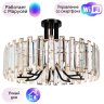 Потолочный светильник Arte Lamp Amber с поддержкой Маруся A1028PL-8BK-М