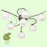 Потолочная люстра Lussole Lgo GRLSP-8036