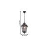 Уличный подвесной светильник с лампочкой  Favourite Bristol 2036-1P+Lamps А60