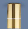 Накладной потолочный светильник Elektrostandard DLN106 GU10 золото (a047732)
