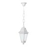 Уличный подвесной светильник Fumagalli Sichem/Anna E22.120.000.WYF1R