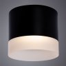 Накладной светильник Castor Arte Lamp A5554PL-1BK