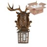 Уличный настенный светильник с лампочкой  Favourite Hunt 2078-1W+Lamps А60