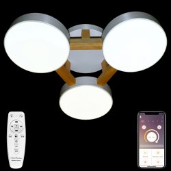Люстра потолочная светодиодная с пультом ДУ Natali Kovaltseva LED LAMPS 81327