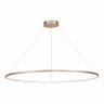 Подвесная светодиодная люстра St Luce IN ST603.243.57