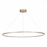 Подвесная светодиодная люстра St Luce IN ST603.243.57