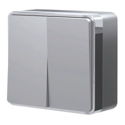 Выключатель двухклавишный (серебряный) Gallant Werkel W5020006 (a052769)