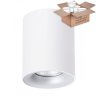 Светильник с лампочкой Arte Lamp Torre A1532PL-1WH+Lamps Gu10