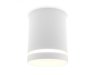 Накладной светильник Ambrella light Techno TN3202