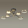 Потолочная люстра Odeon Light Denzel с поддержкой Маруся 4320/60CL-М