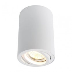 Накладной светильник Arte Lamp Sentry A1560PL-1WH