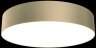 Потолочный светодиодный светильник Maytoni Zon C032CL-L43MG4K