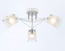 Потолочный светильник Traditional Ambrella light TR303071