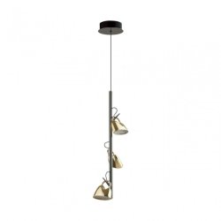 Подвесной светильник Odeon Light Kavia 5002/13L