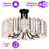 Потолочный светильник Arte Lamp Amber с поддержкой Алиса A1028PL-8BK-A