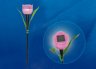 Светильник на солнечных батареях (UL-00004276) Uniel Promo USL-C-451/PT305 Pink Tulip