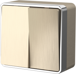 Выключатель двухклавишный Gallant (шампань рифленый) Werkel W5020010