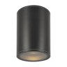 Уличный потолочный светильник Outdoor O306CL-L7GF