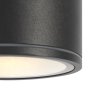Уличный потолочный светильник Outdoor O306CL-L7GF