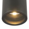 Уличный потолочный светильник Outdoor O306CL-L7GF