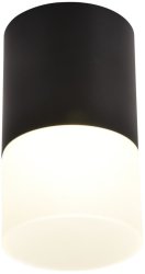Накладной светильник Favourite Naram 3070-1C