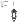 Уличный подвесной светильник с лампочкой Favourite Paris 1806-1P+Lamps А60