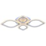 Люстра потолочная светодиодная с пультом ДУ Profit Light 8018/2+2 WHT 76W+7W RGB