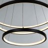 Подвесная люстра с пультом ДУ Arte Lamp Frodo A2197SP-3BK