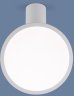 Накладной потолочный светодиодный светильник Elektrostandard Brain DLS029 12W 4200K белый матовый (a047771)
