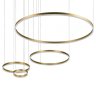 Светильник подвесной светодиодный Loft It Ring 10017/4L