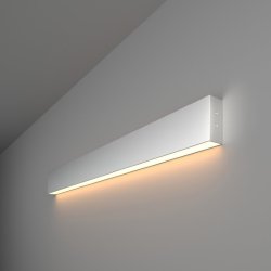Линейный накладной светильник Elektrostandard 78см 15W 3000K матовое серебро 101-100-30-78 Grand (a041489)