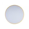Потолочный светодиодный светильник Axel Loft It 10002/24 Yellow