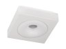 Потолочный светодиодный светильник Escada 601/PL LED