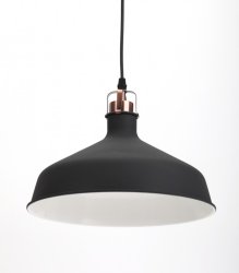 Подвесной светильник ЭРА Loft PL2 BK/RC