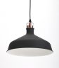 Подвесной светильник ЭРА Loft PL2 BK/RC