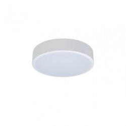 Потолочный светодиодный светильник Axel Loft It 10002/12 White