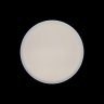 Потолочный светодиодный светильник Axel Loft It 10002/12 White
