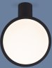 Накладной потолочный светодиодный светильник Elektrostandard Brain DLS029 12W 4200K черный матовый (a047772)