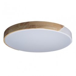 Потолочный светодиодный светильник Axel Loft It 10004/36 White