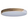 Потолочный светодиодный светильник Axel Loft It 10004/36 White