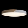Потолочный светодиодный светильник Axel Loft It 10004/36 White