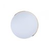 Потолочный светодиодный светильник Axel Loft It 10004/36 White