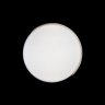 Потолочный светодиодный светильник Axel Loft It 10004/36 White