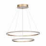 Подвесная светодиодная люстра St Luce OUT ST604.243.56