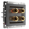 Акустическая розетка (графит рифленый) Werkel W1185004