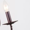 Бра F-Promo Plini с лампочками 2590-2W+Lamps E14 Свеча