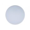 Потолочный светодиодный светильник Axel Loft It 10002/24 White